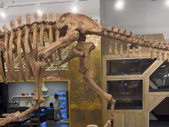 -FAIRYLAND龙族星球主题餐厅(凯丹广场店)