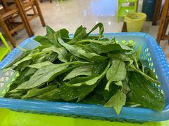 -15年老字号鑫鑫猪肚鸡·椰子鸡海南火锅(兴隆华侨农场店)