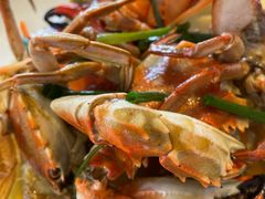 -华盛丰温州大排档(东三环南路店)