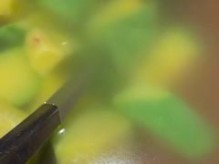 -缘生态云南菜·野生菌庭院餐厅(华侨城店)