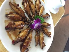 海岛渔村大酒店-海岛渔村大酒店(云霄路店)