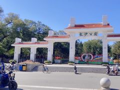-龙沙公园