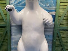 -海合安天津极地海洋公园