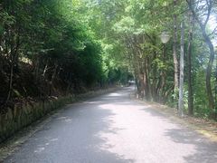 -雨花胜境