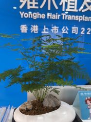 -雍禾植发全国连锁