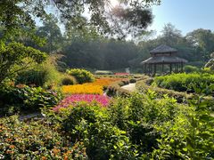 -广西壮族自治区药用植物园