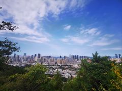 -大连植物园