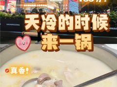 -顺德公·广东猪肚鸡(车公庙总店)