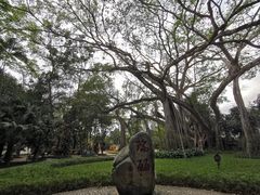 -瑞丽独树成林风景区