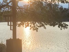 -重庆彩云湖湿地公园