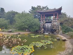 -国家植物园南园