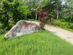 -亚龙湾国际玫瑰谷