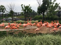 -武汉动物园