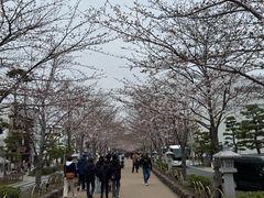 -鹤冈八幡宫