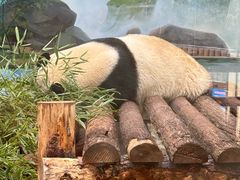 -杭州少年儿童公园