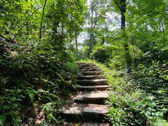 -青龙山国家森林公园