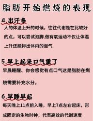-Fundi张玉珊修身堂·indiba·BTL科技瘦身
