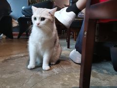 -咖法森林·咖啡  酒吧(天河店)