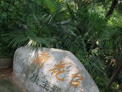 -菊花台公园