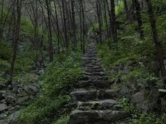 -四门塔风景区
