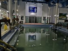 -河源客天下-温泉小镇