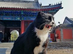 -大觉寺-停车场