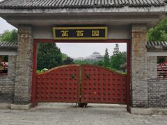 -莲花池公园