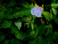 -中国农科院国家农业科技展示园