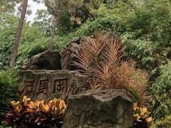-晓港公园