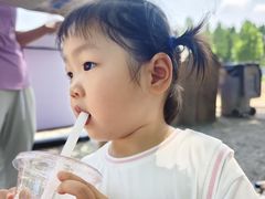 -尺木神奇世界