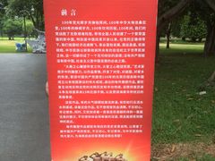 -万绿园