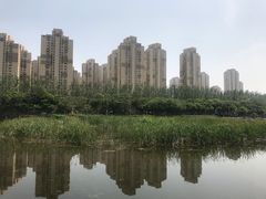 -前关湿地公园