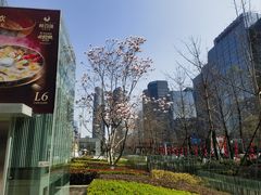 -合景·悠方(成都店)