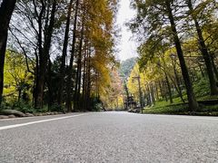 -青城山