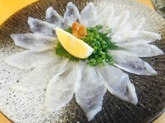 -天正河鲀·河豚亭(大连店)