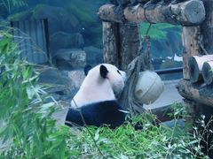 -杭州动物园