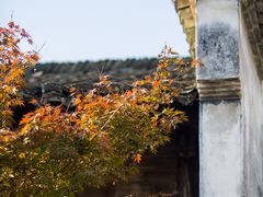 -绩溪龙川景区