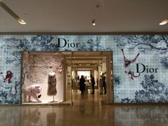 -DIOR迪奥(德基广场女装店)