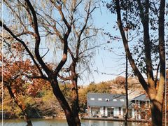 -白马涧龙池景区