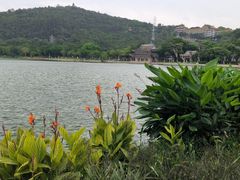-顺峰山公园