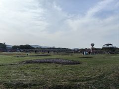 -苏州太湖西山岛开心农场