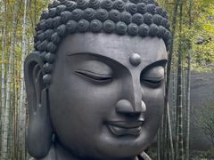 -杭州植物园