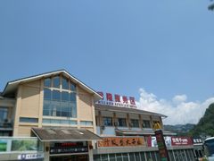 -中国石化加油站(武隆服务区北侧站)