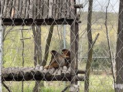 -哈尔滨北方森林动物园