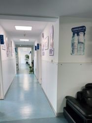 -温州伯思立医院