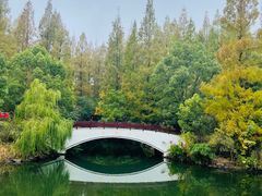 -东平国家森林公园