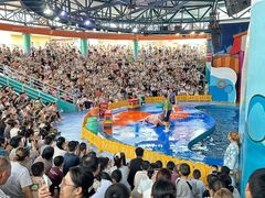 -海合安武汉极地海洋公园