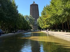 -玲珑塔公园