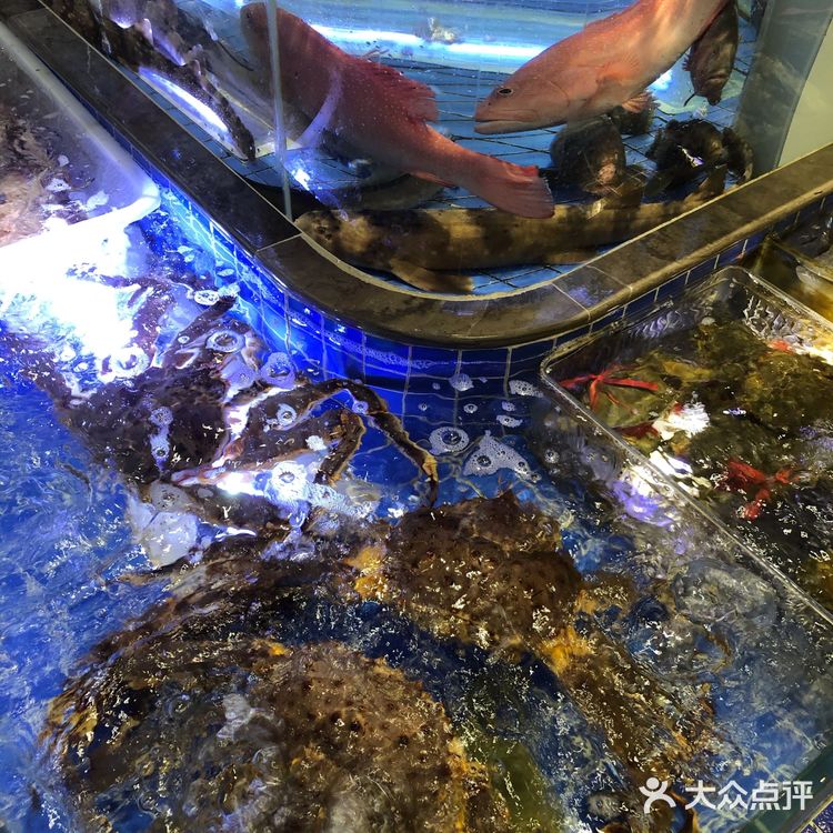 藏不住了💡这家海鲜楼简直是宴请天花板🎈