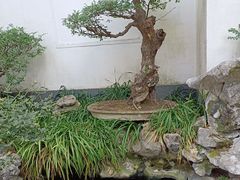 -莹珠阁·私房菜